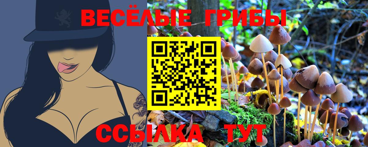 МДМА Владимир
