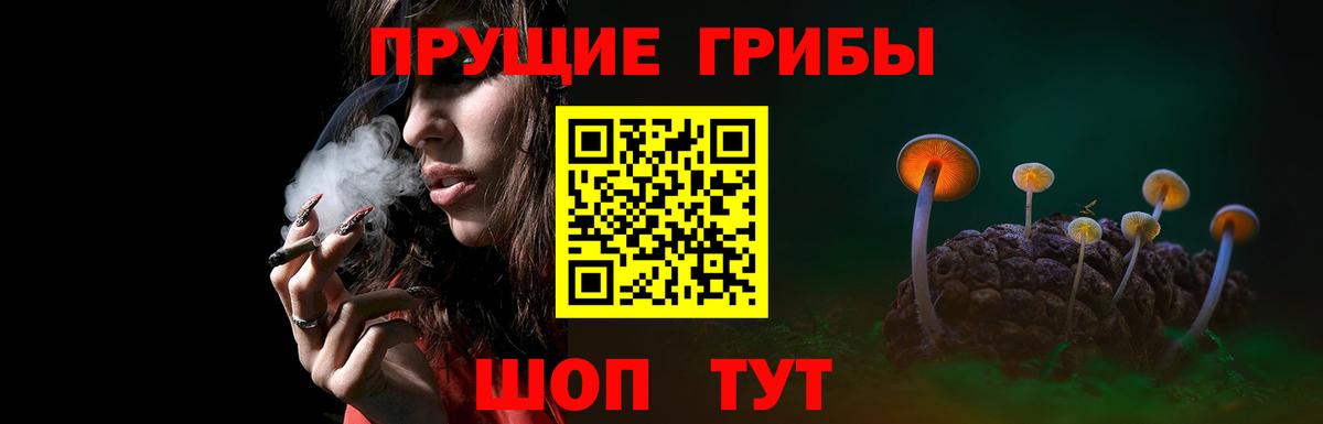 Галлюциногенные грибы мицелий  Вход с VPN  Владимир 